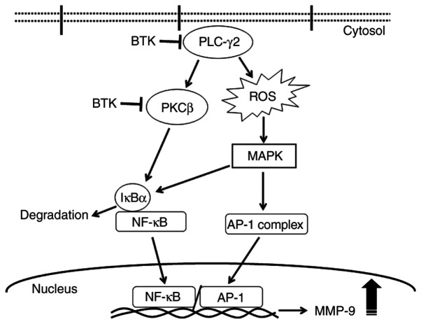 Figure 7.