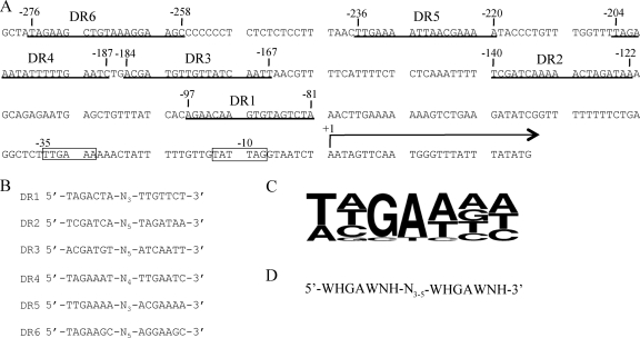 FIG. 4.