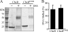 FIG. 8.