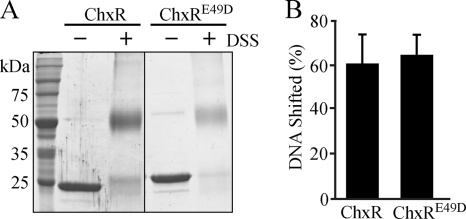 FIG. 8.