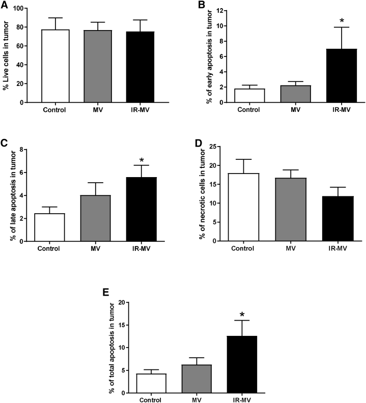 Figure 5