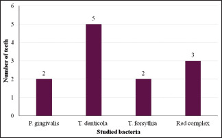 Graph 4