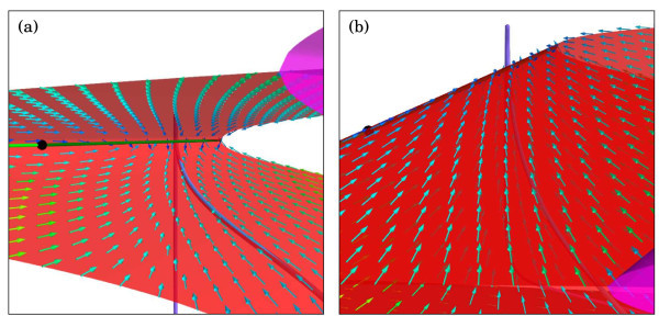 Fig. 7