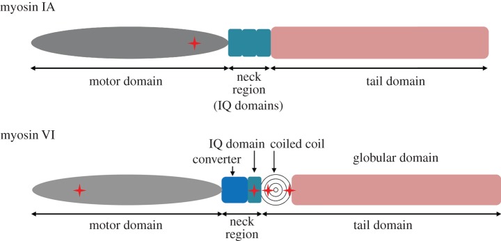 Figure 2.