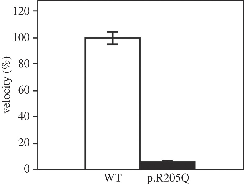 Figure 5.