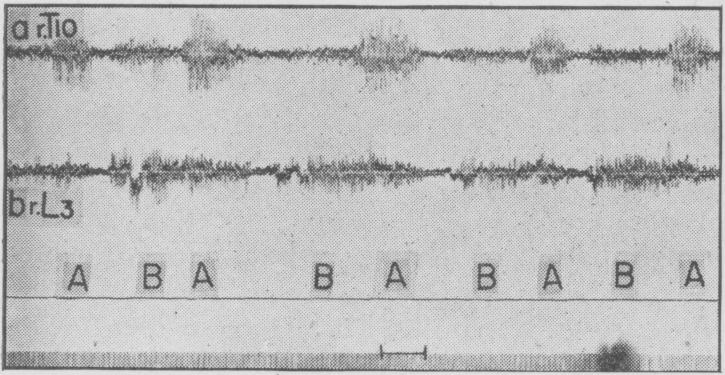 Fig. 13