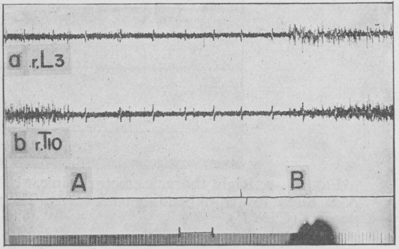 Fig. 11