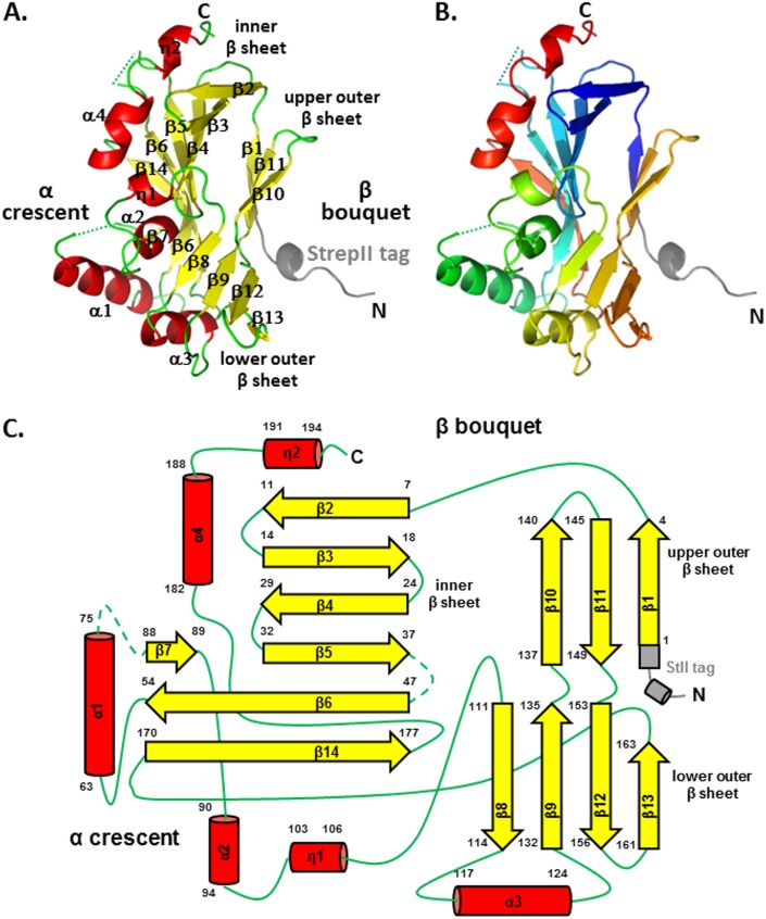 FIG 1