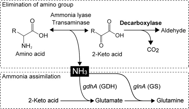 Fig. 3