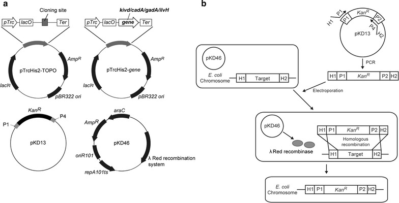 Fig. 1