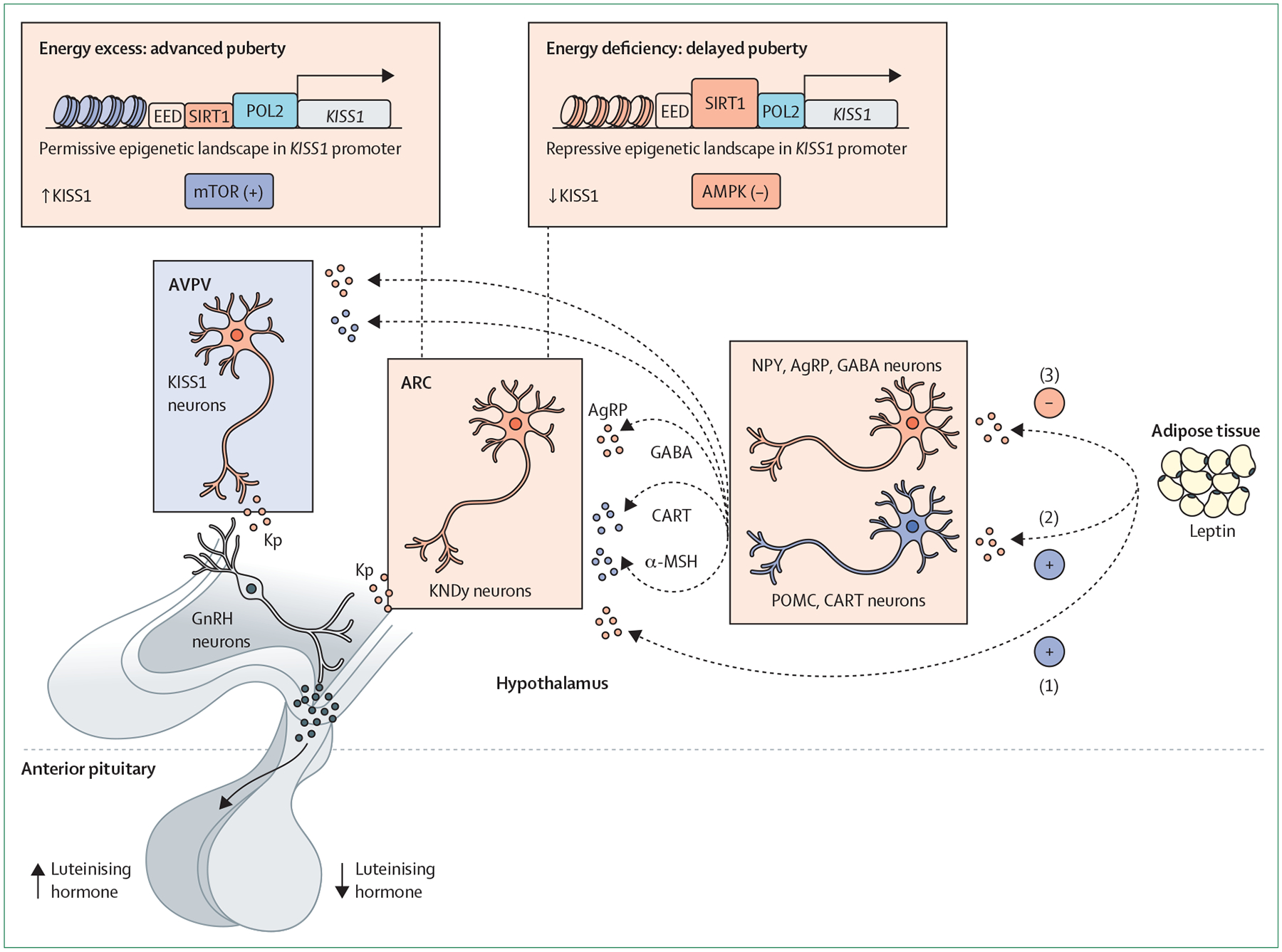 Figure 1: