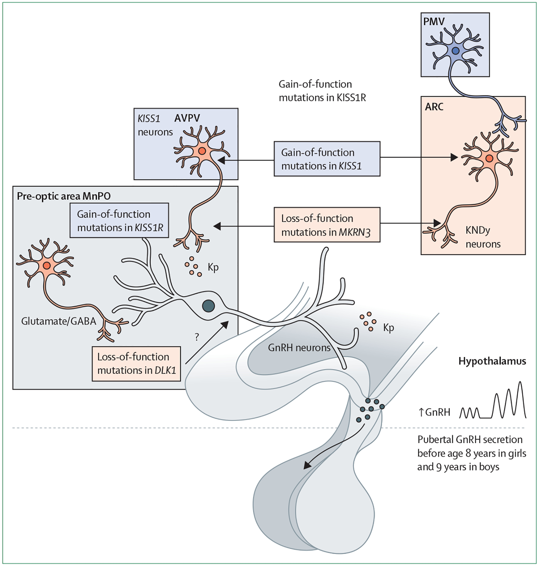 Figure 2: