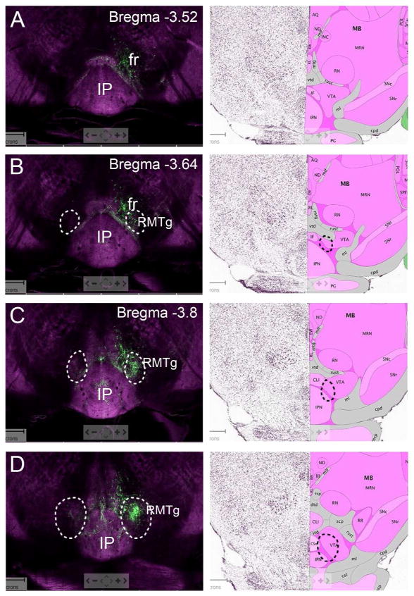 Figure 9