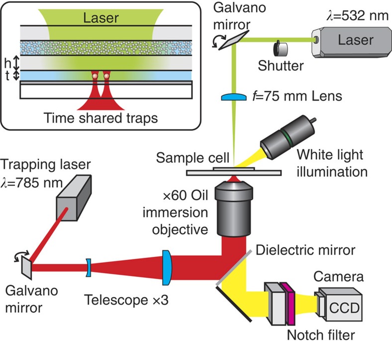 Figure 2