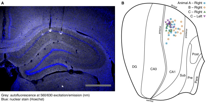 Figure 1—figure supplement 1.