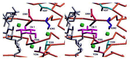 Figure 15