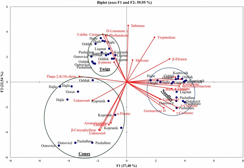 Fig. 2