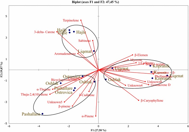 Fig. 4