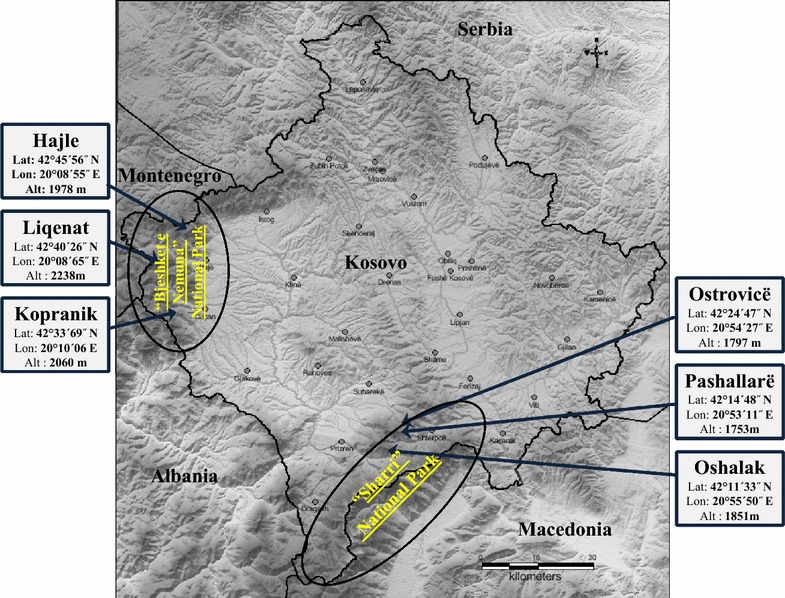 Fig. 6