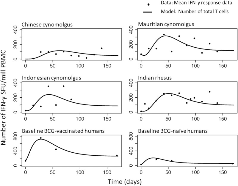 FIG 3