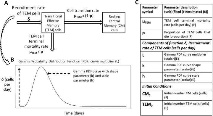 FIG 1