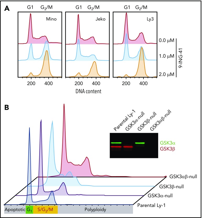 Figure 3.