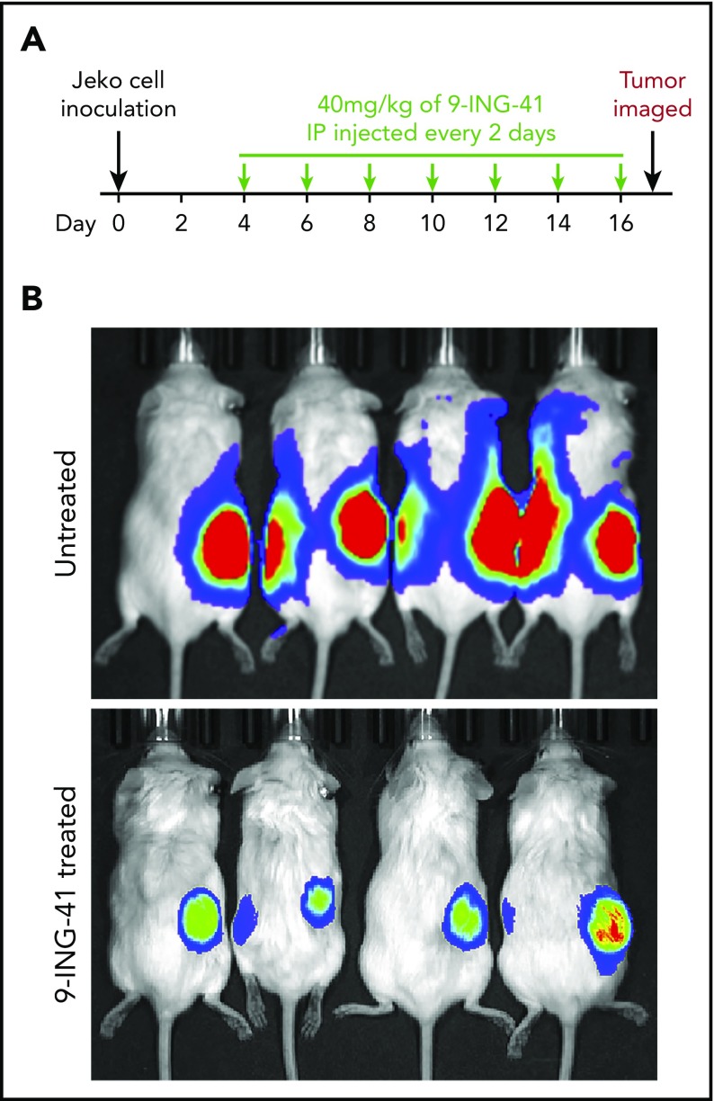 Figure 7.