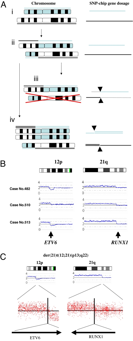 Fig. 1.