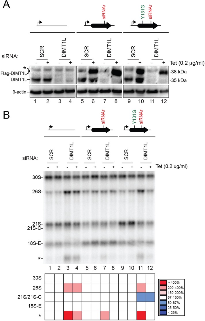 FIGURE 7: