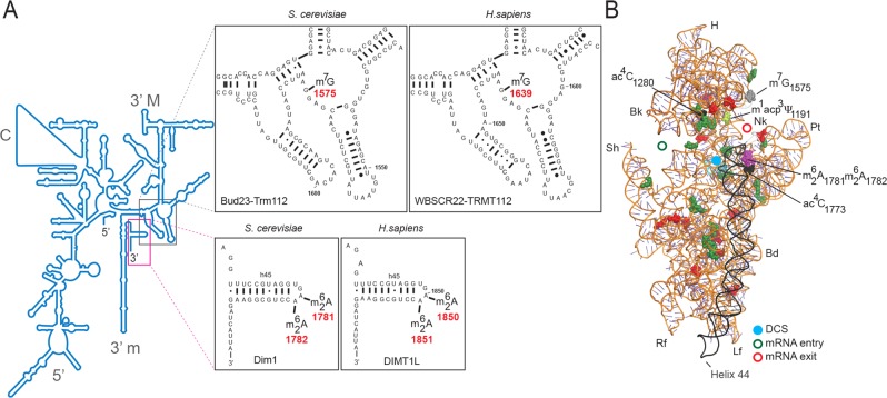 FIGURE 1: