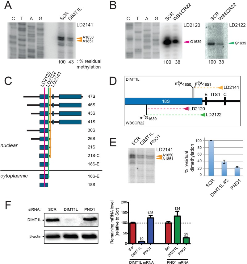 FIGURE 6: