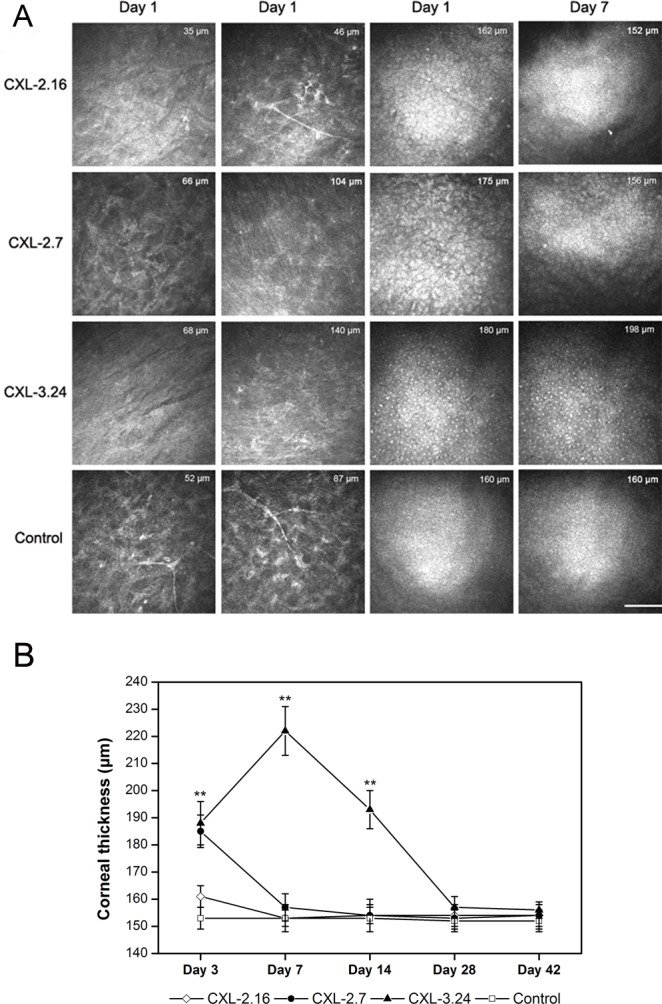 Fig 4