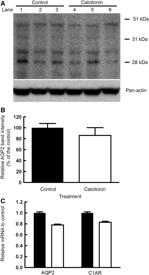 Figure 10.