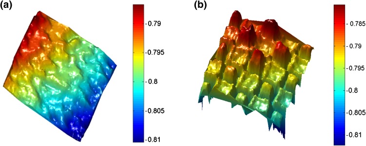 Fig. 1