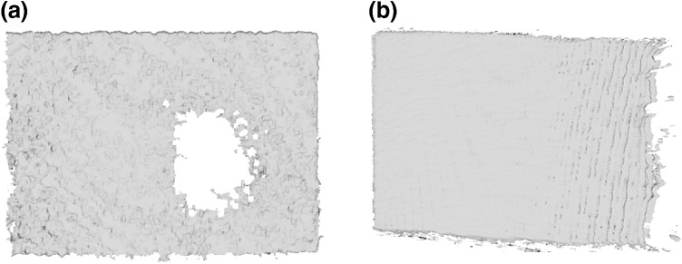 Fig. 8