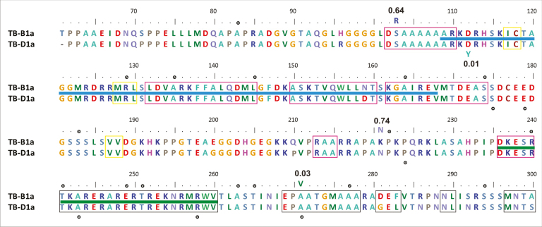 Box 1. Natural and TILLING mutants of wheat TB1 homoeologues