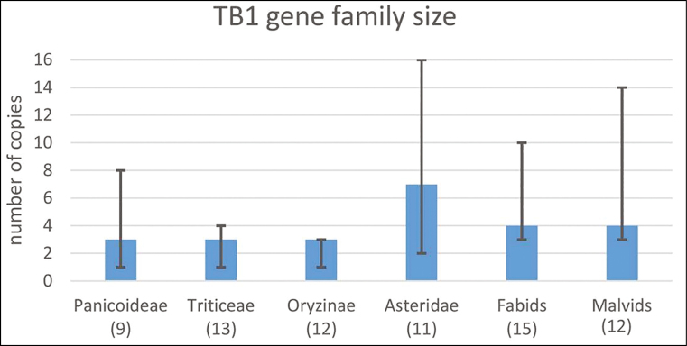 Box 2. Number of TB1 orthologues across vascular plants