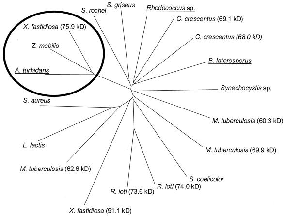 FIG. 4.