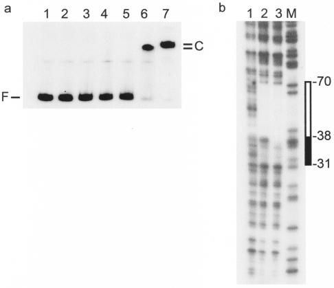 FIG. 5.