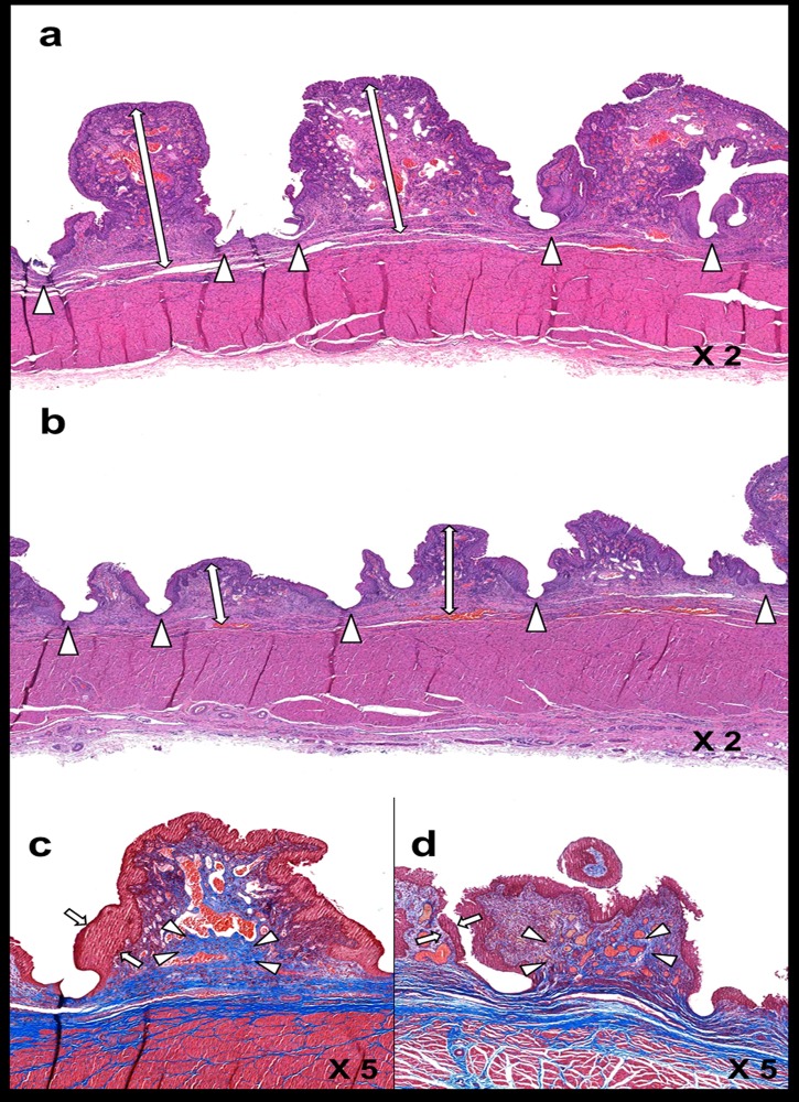 Fig 5