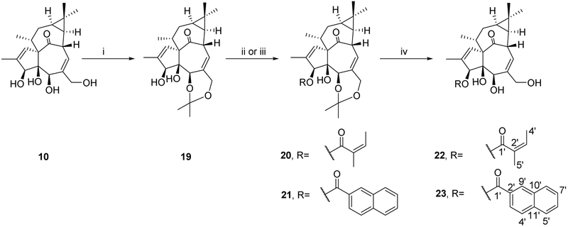 Scheme 3.