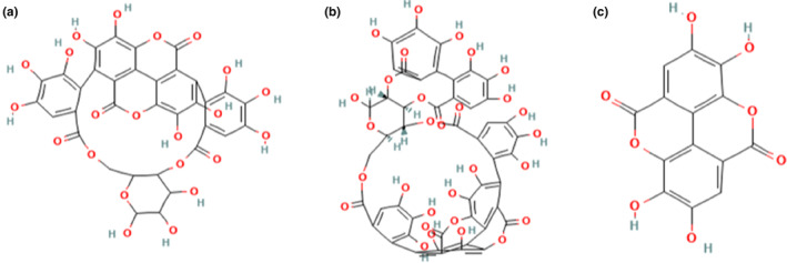 FIGURE 2