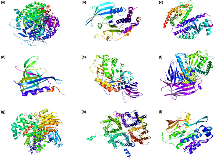 FIGURE 1