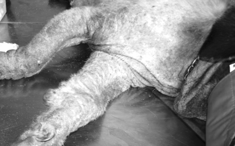 Fig. 4