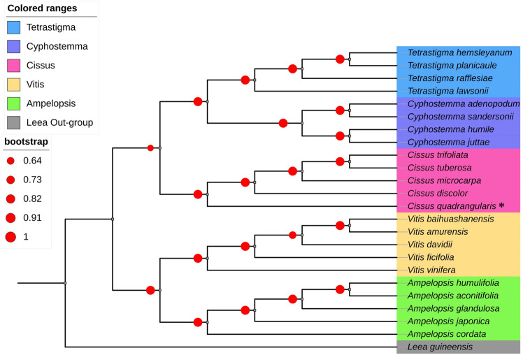 Fig. 10