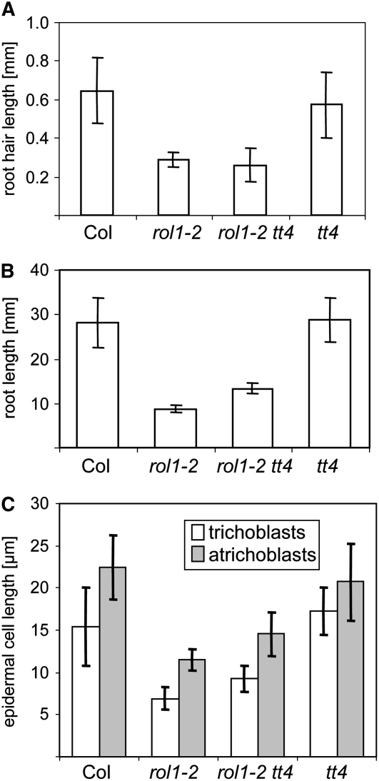 Figure 7.