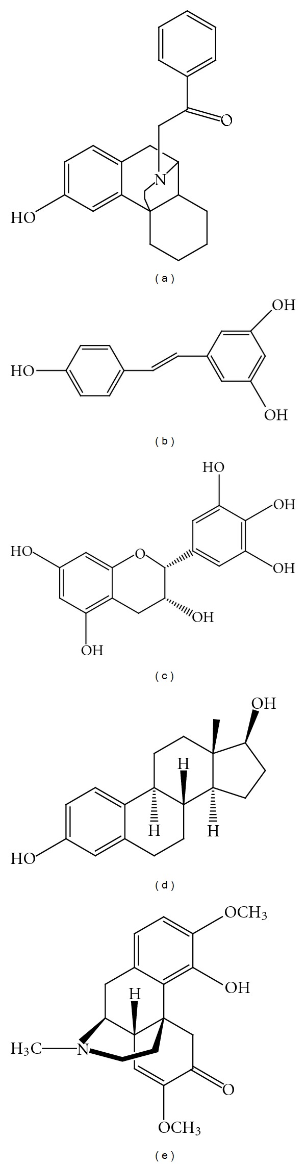 Reactive Oxygen Species and Inhibitors of Inflammatory Enzymes, NADPH ...