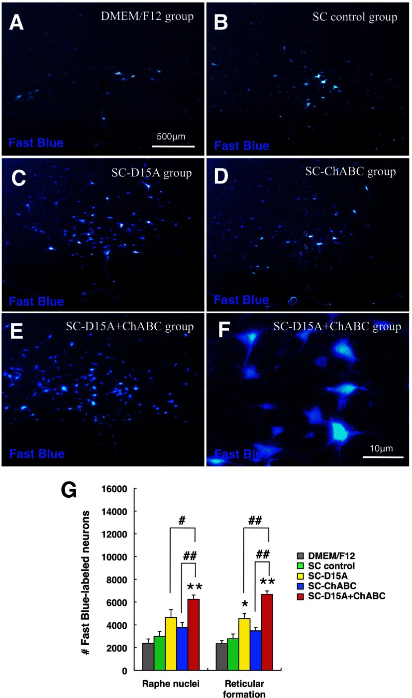 Figure 10.