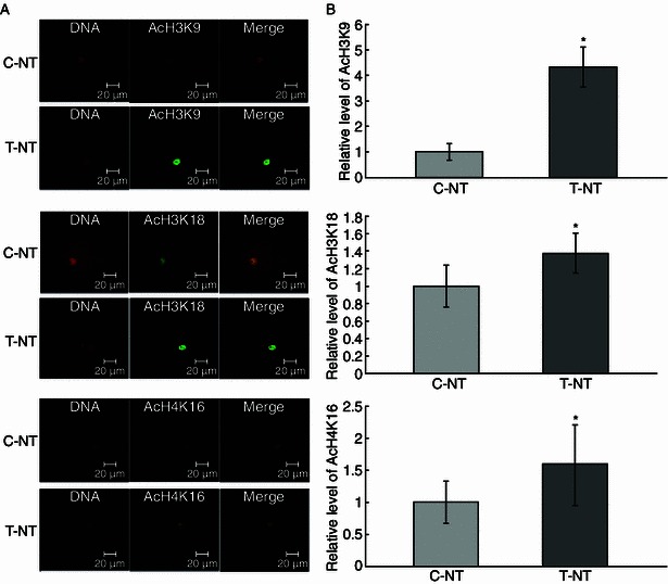 Figure 2