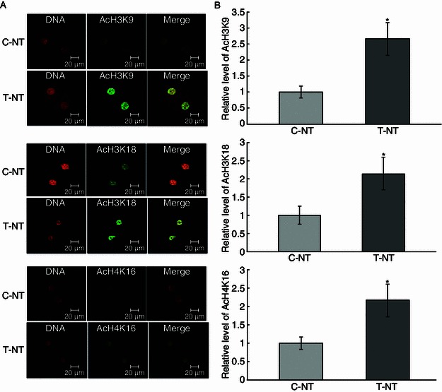 Figure 3